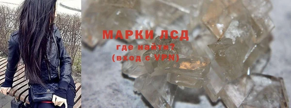 индика Ладушкин