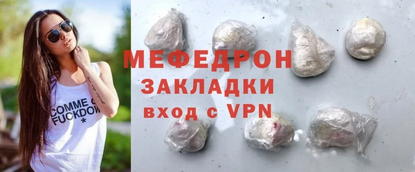 индика Ладушкин