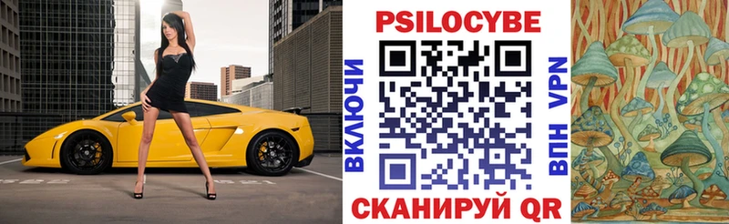 Псилоцибиновые грибы Magic Shrooms  Купить закладки  Алагир 
